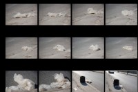 http://kathrinfreytag.sosciso.de/files/gimgs/th-30_wind3.jpg